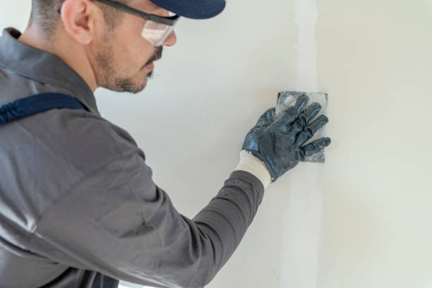 Best Drywall Sanding and Smoothing  in Northfield, IL